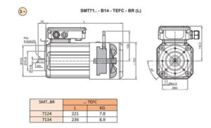 remmotor_in_compact_uitvoering